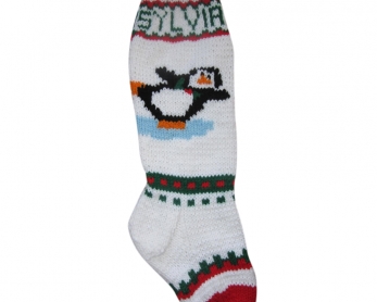 Ice-Skating Penguins