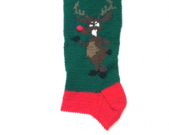 Rudolph the red nosed reindeer